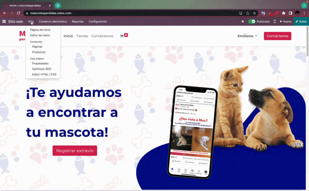 Diseño sin título