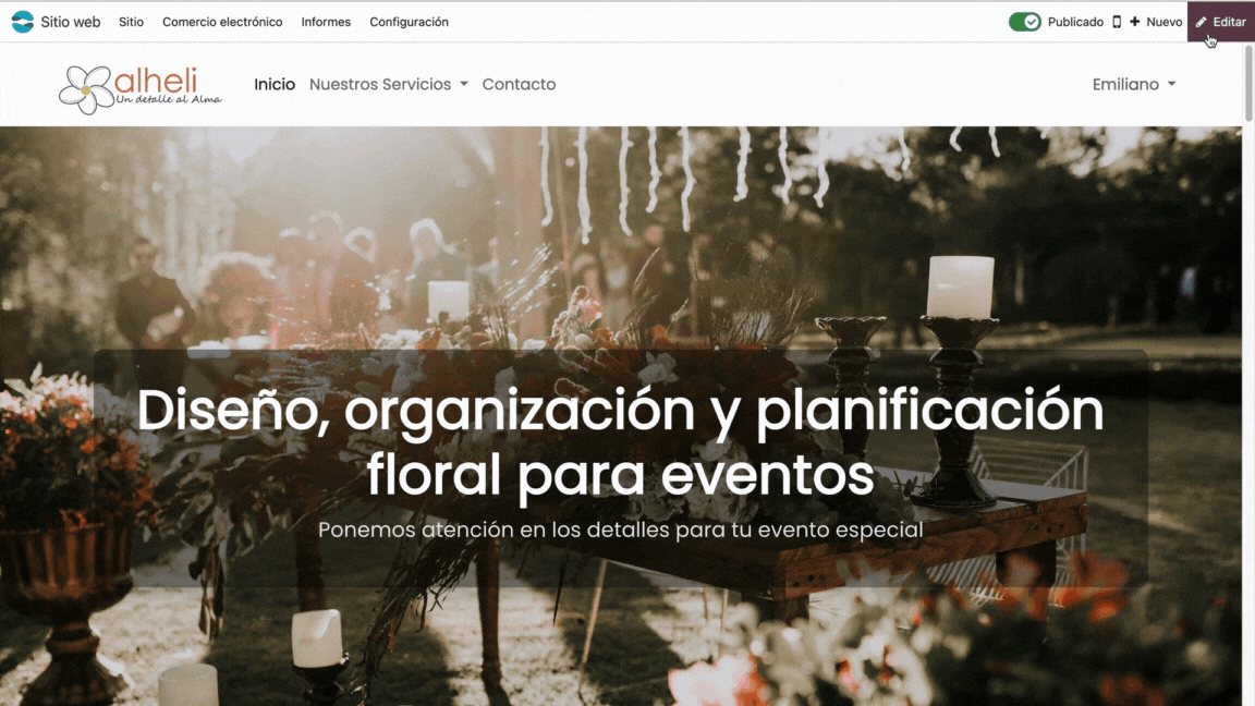 Diseño sin título