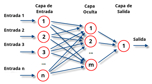 Redes neuronales esquema